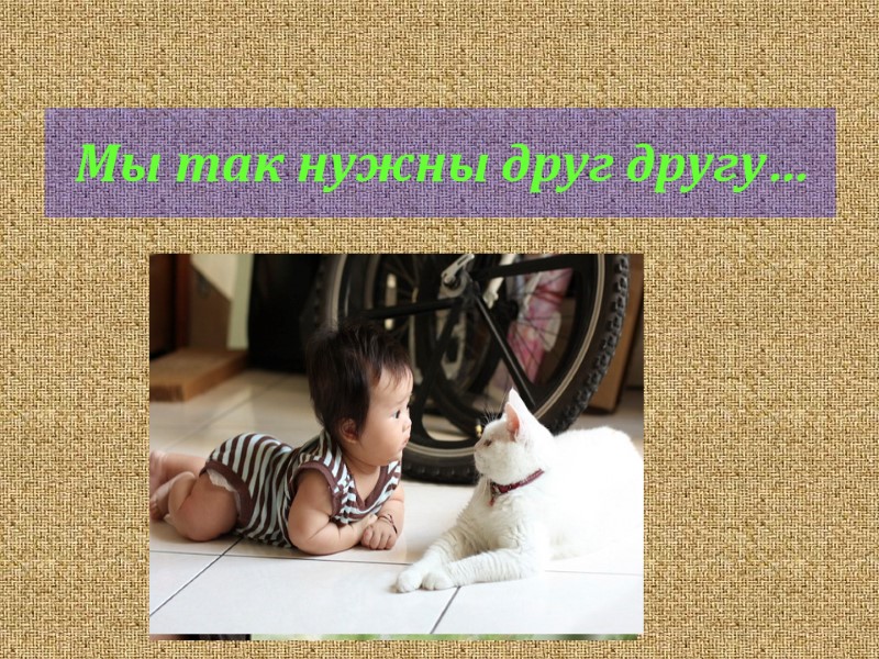 Мы так нужны друг другу…